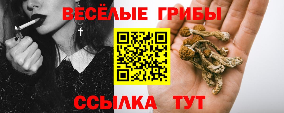 Псилоцибиновые грибы Cubensis  Галлюциногенные грибы Magic Shrooms  Приморско-Ахтарск  Вход с VPN 